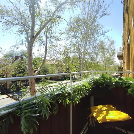 Life Apartment